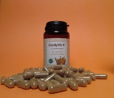 Cordyvit K